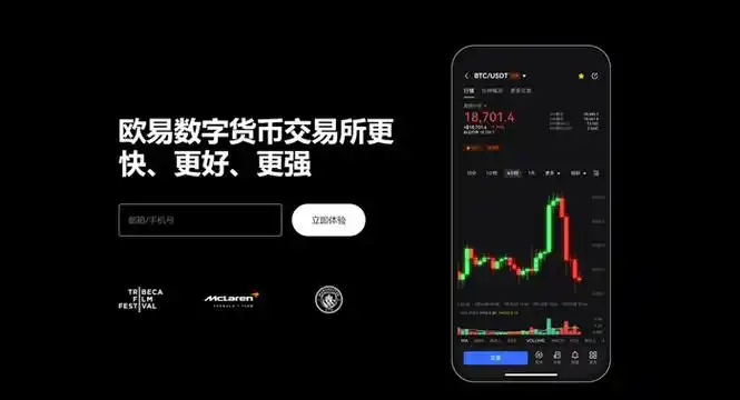 OK币 app页面展示